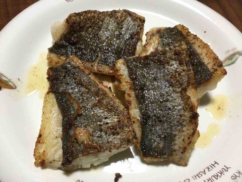 四日市産シーバス 東海ソルトルアー研究所 ほぼオフショア研究所