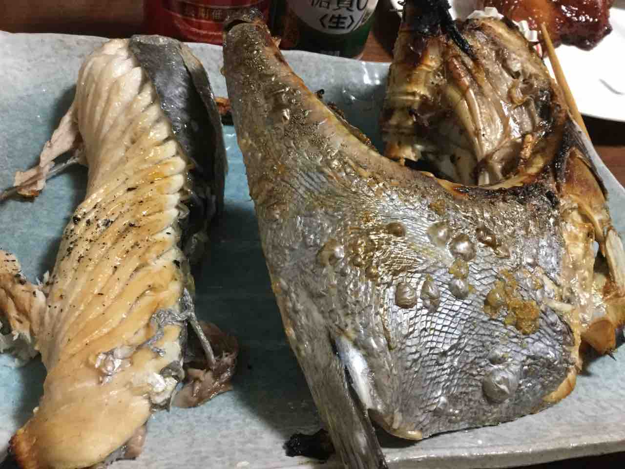 マグロ 二夜連続 By 渡哲也 東海ソルトルアー研究所 ほぼオフショア研究所