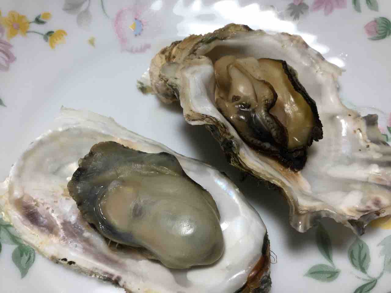 お魚料理 東海ソルトルアー研究所 ほぼオフショア研究所 お魚料理 東海ソルトルアー研究所 ほぼオフショア研究所