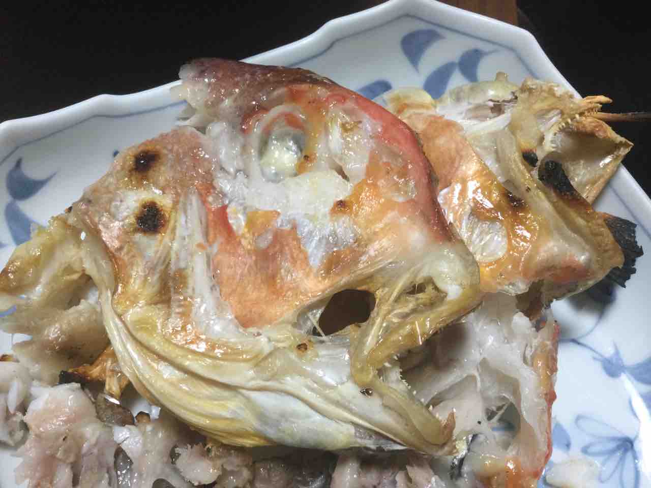 お魚料理 東海ソルトルアー研究所 ほぼオフショア研究所