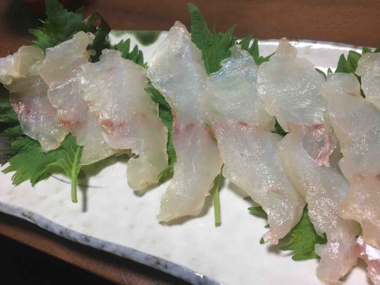 お魚料理 東海ソルトルアー研究所 ほぼオフショア研究所