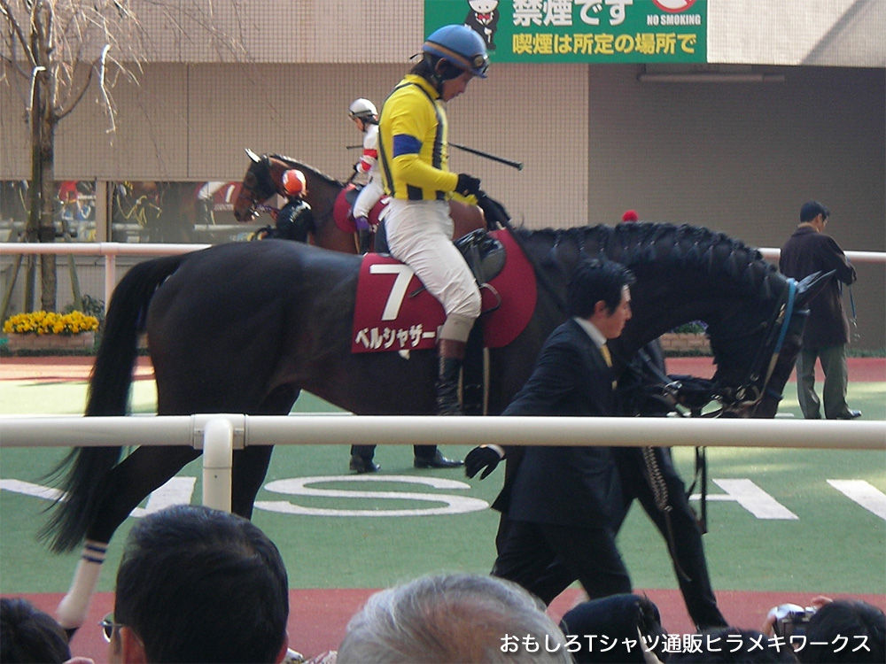 2011年3月26日阪神競馬場、東北関東大震災被災地支援競馬スプリングステークス(G2) 安藤勝己騎乗 ベルシャザール