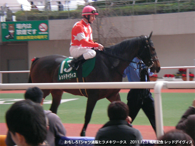 20111203鳴尾記念レッドデイヴィス