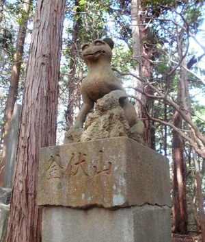 DSCN5908