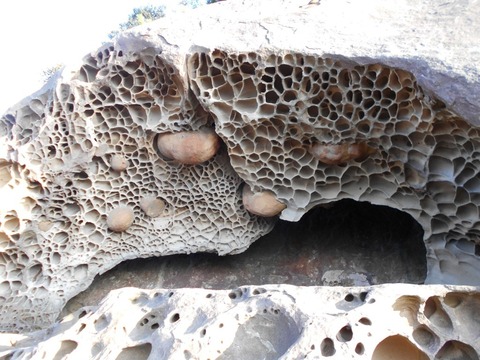 ３９番への道（竜串海岸１）