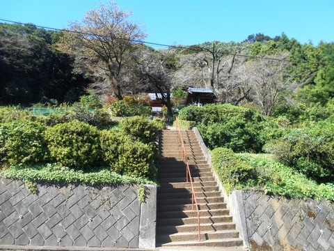 DSCN4505