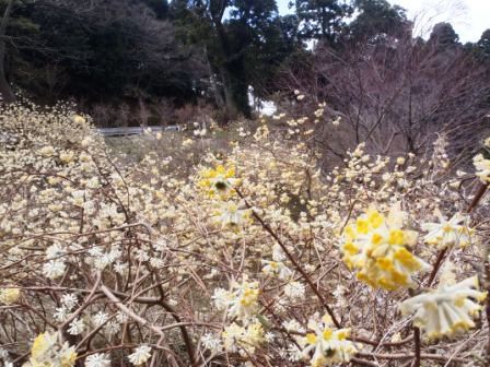 神野寺＆鵜原理想郷 026