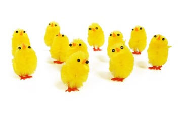 ひよこ