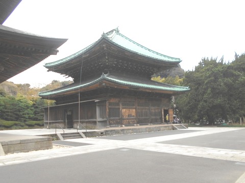 DSCN5530