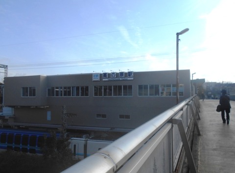 DSCN7008