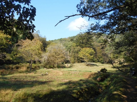 DSCN6986