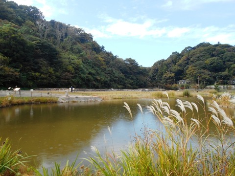 DSCN5551