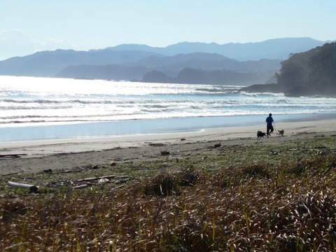 ３８番への道（たいきの浜）