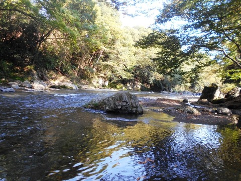 DSCN7000