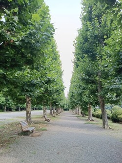 IMG_20240702_140614