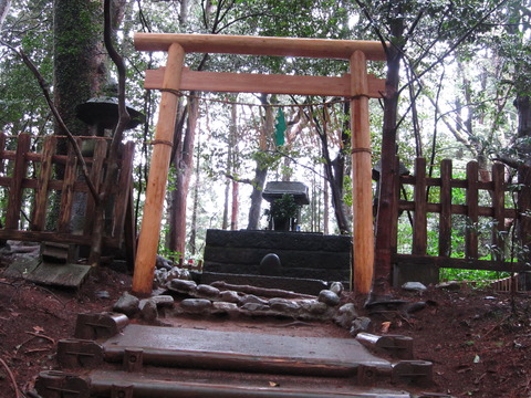 ２０１２年３月屋久島＆九州旅行 085