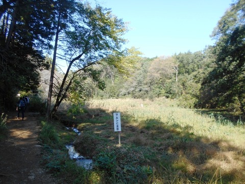 DSCN6963