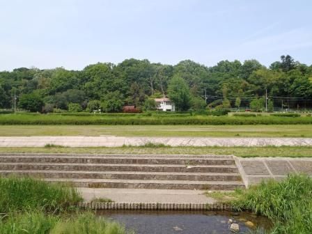 はけの道 006