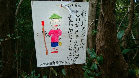 IMG_20181026_182551