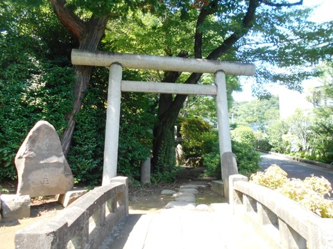 DSCN6802