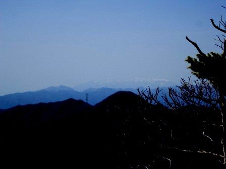 鶴ガ鳥屋山20130404 017