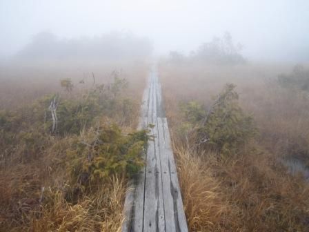 八丁の湯と鬼怒沼湿原 016