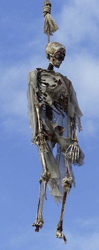skeleton-2269758_1280