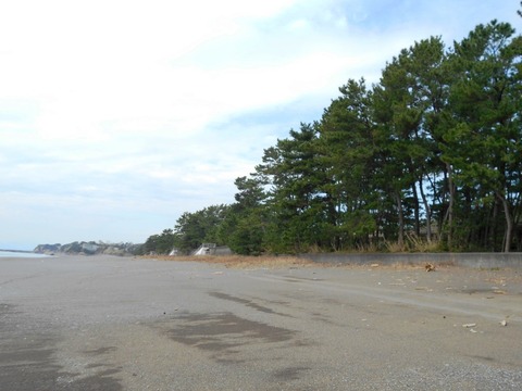 28番への道（琴ヶ浜２）