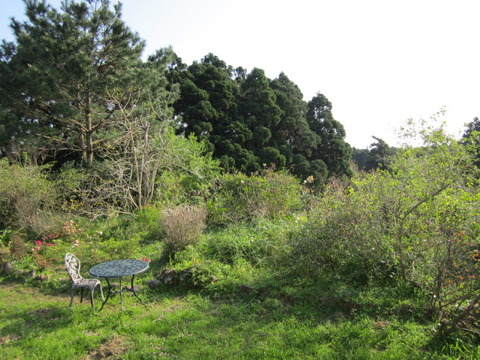 ２０１２年３月屋久島＆九州旅行 026