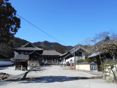 DSCN7939