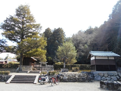 DSCN8187