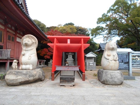 屋島寺狸稲荷