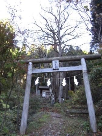 生藤山&三国山 008