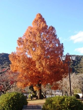 銭壷山合宿 052