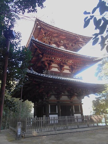 DSCN7927