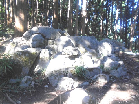 DSCN4492