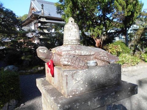 ３９番延光寺亀