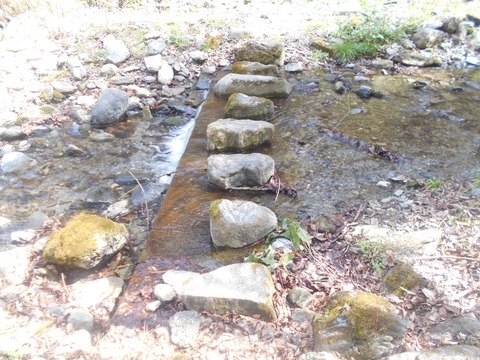 DSCN5874