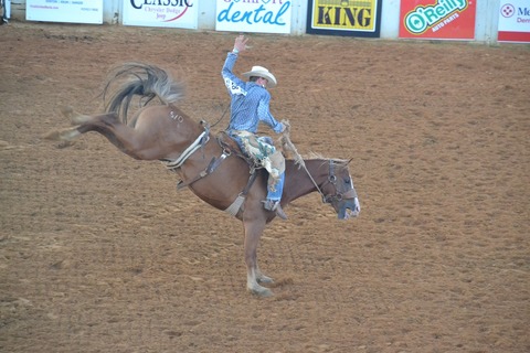rodeo-2685568_1920
