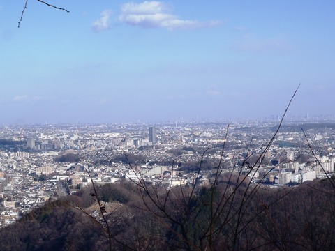 高尾山2014初詣 015