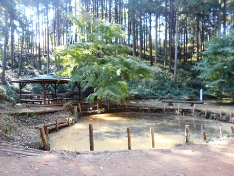 DSCN6970