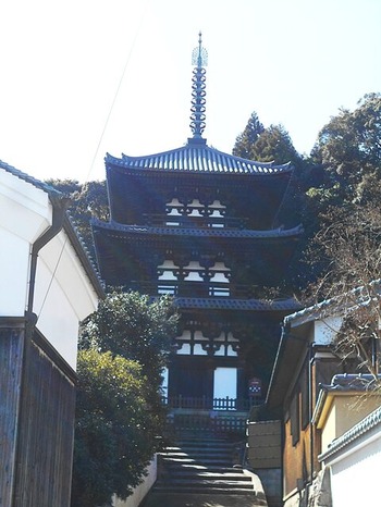 DSCN7929