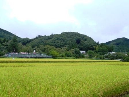 秩父巡礼4~5日 034