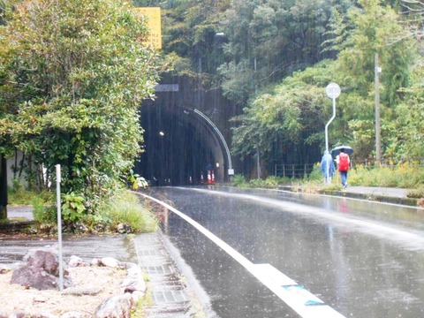 ３８番への道（伊豆田トンネル）