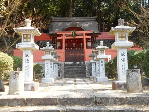 DSCN8199