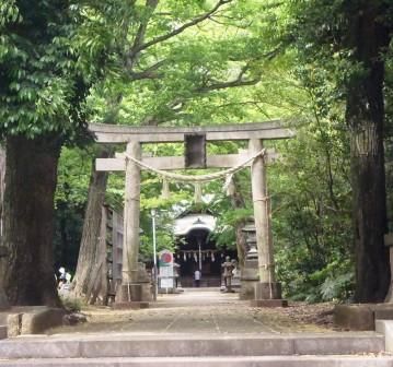 はけの道 016
