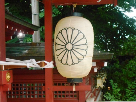 DSCN5206