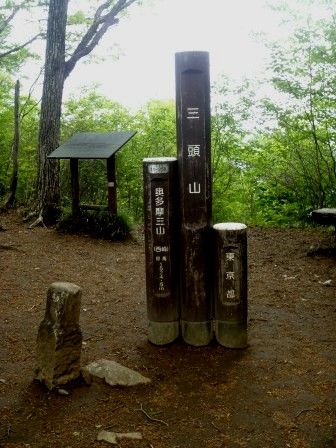 三頭山20150520 016