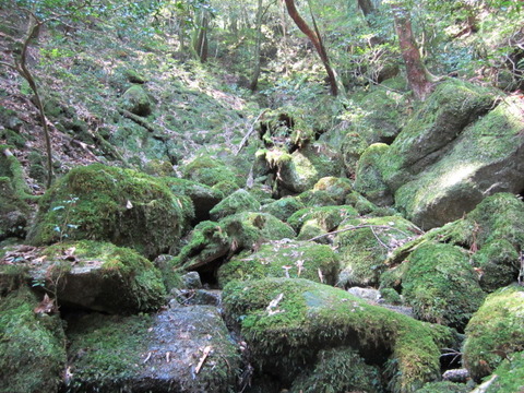 ２０１２年３月屋久島＆九州旅行 029