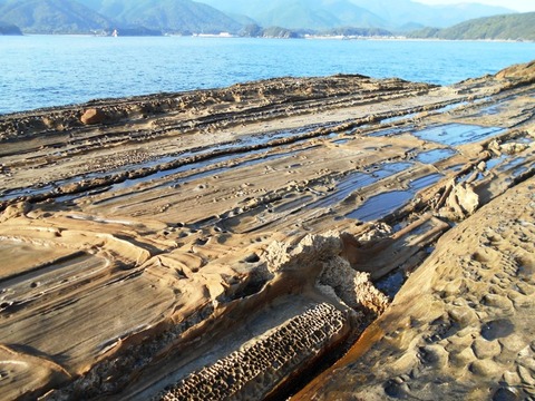 ３９番への道（竜串海岸２）